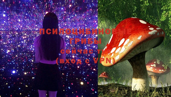 гашик Семёнов