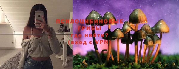 гашик Семёнов