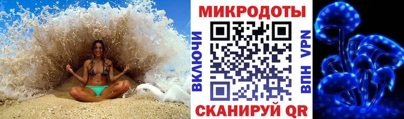 KRAKEN зеркало  где продают   Новосибирск  Галлюциногенные грибы Magic Shrooms 