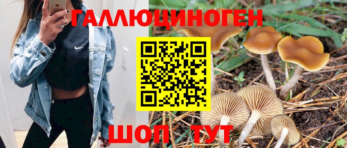 Галлюциногенные грибы мухоморы  Вход с VPN  Новосибирск 