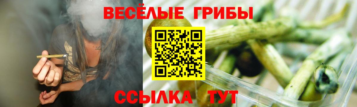 Псилоцибиновые грибы MAGIC MUSHROOMS Новосибирск